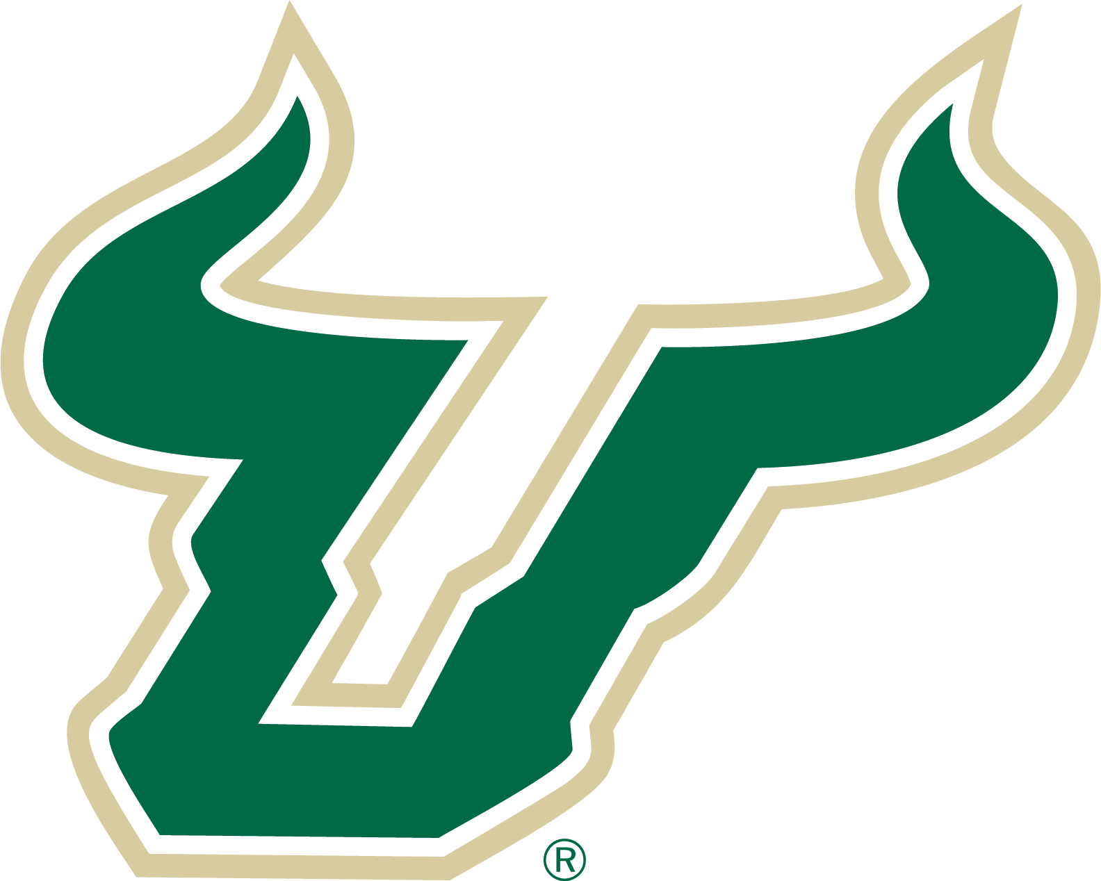 Canvas Usf