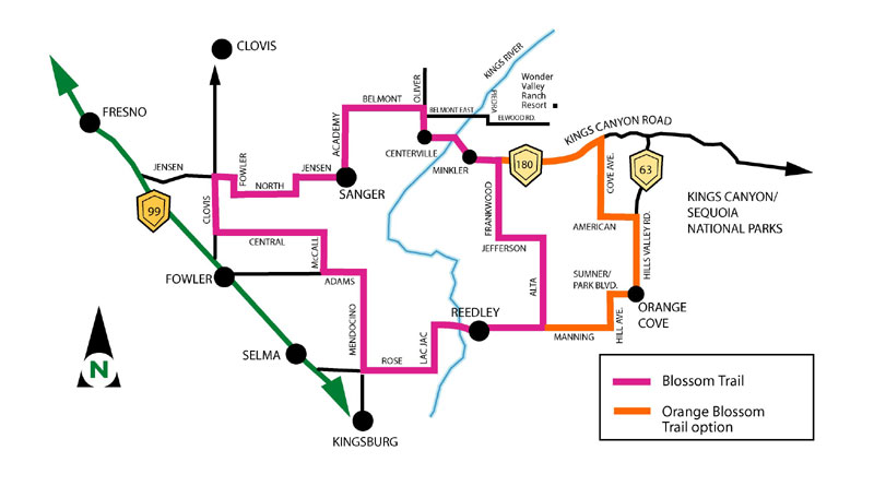 Fresno Blossom Trail: Best Routes And Times To Visit