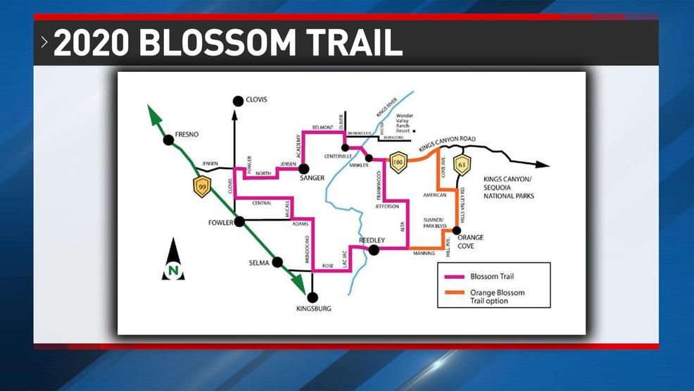 Fresno County Blossom Trail: Blooms And Scenic Views