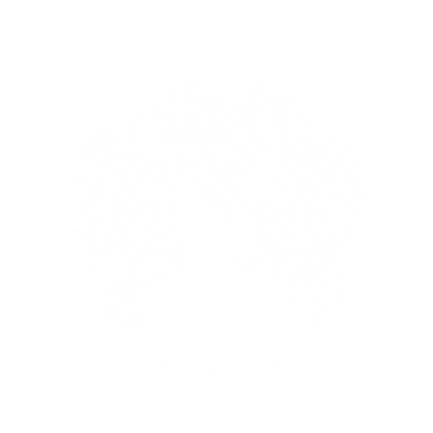 Friendswood Library: Find Events & Activities Nearby