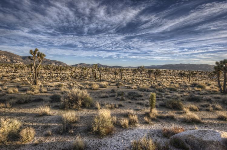 High Desert California