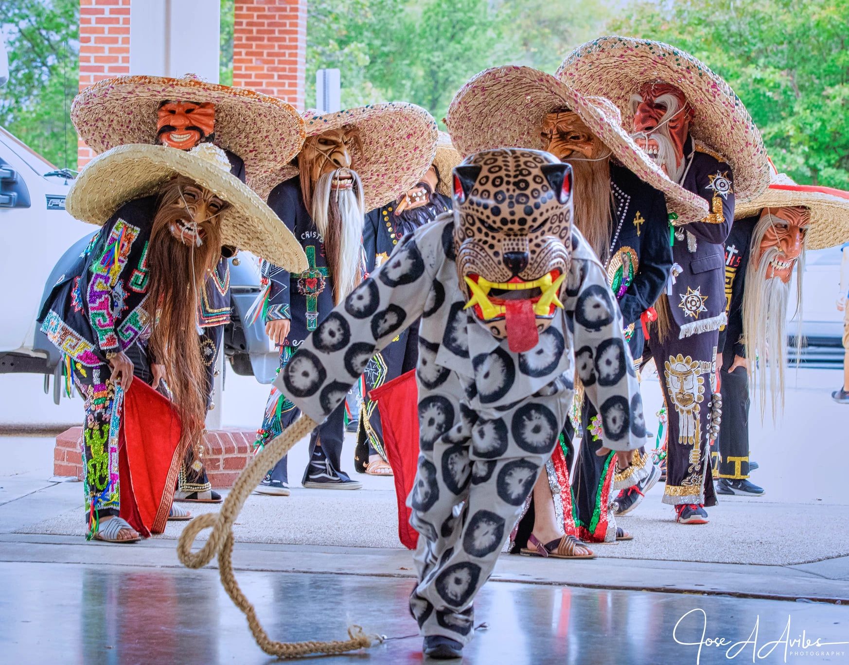 Love The Lion At The Manassas Latino Festival 9 27 15 Library