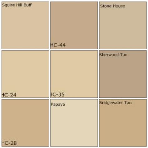 Sherwin Williams Top Paint Colors 2024 Tan Codi Marney